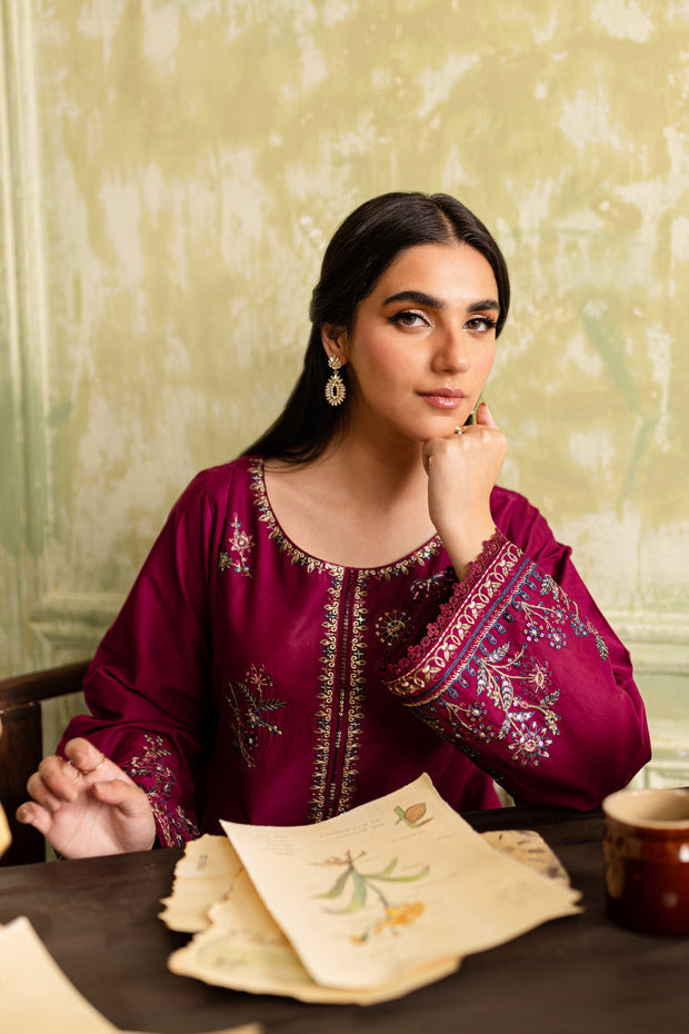 Pazaib Embroidered 2PC